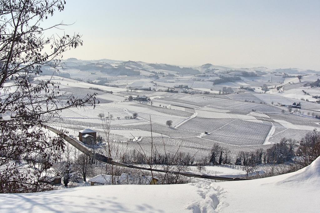 Гостевой дом Profumi... Vinchio Экстерьер фото